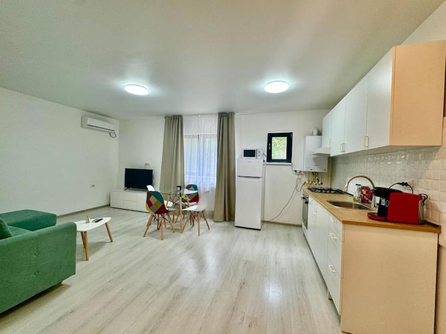 Otopeni Studio C1 1 Airport Therme מראה חיצוני תמונה